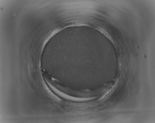 X0000070390797200606231736