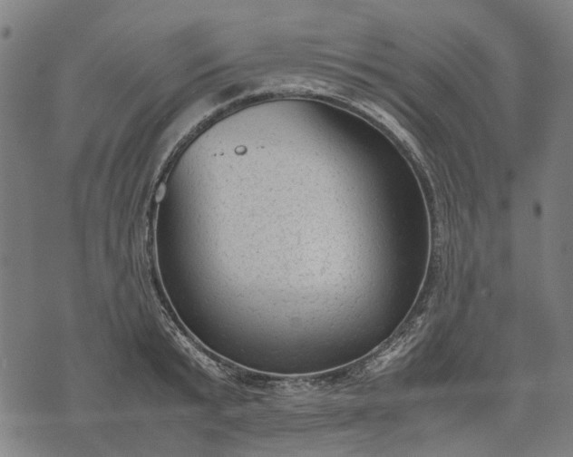 X0000070390799200606231736