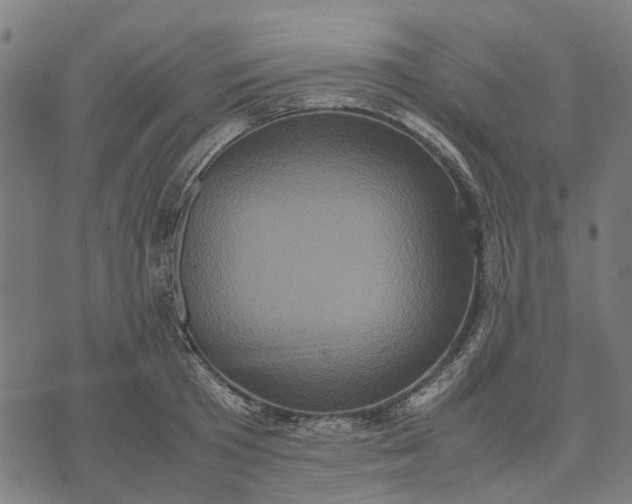 X0000070390801200606231736