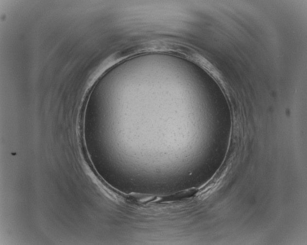 X0000070390803200606231736