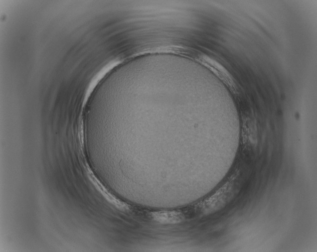 X0000070390804200606231736