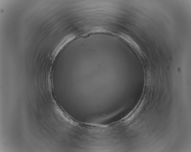 X0000070390806200606231736