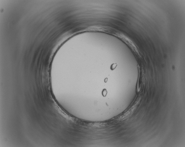 X0000070390808200606231736