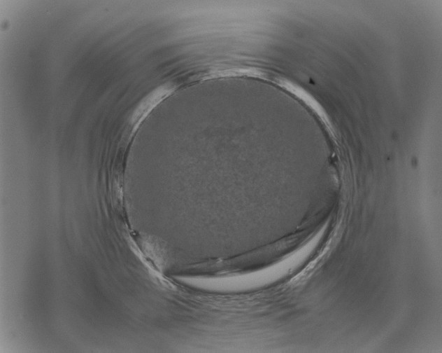 X0000070390809200606231736