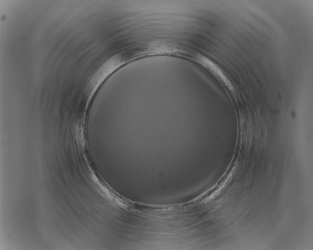 X0000070390810200606231736