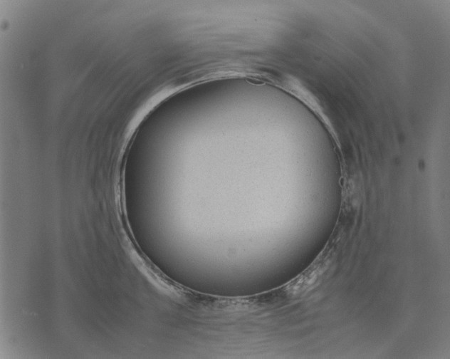 X0000070390811200606231736