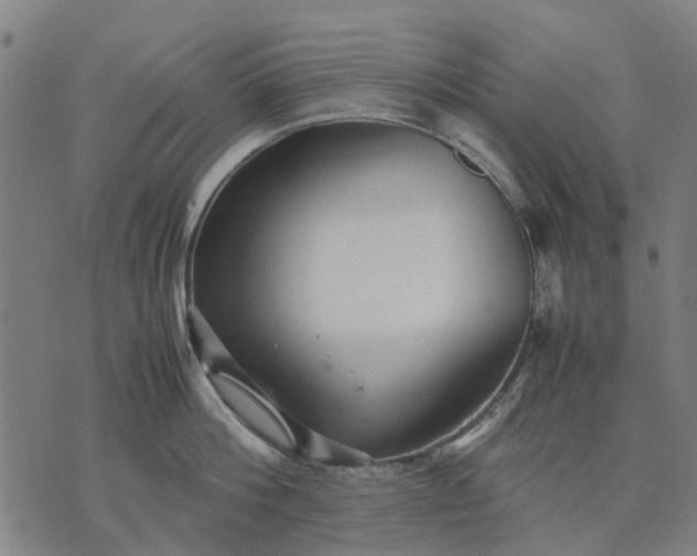 X0000070390812200606231736