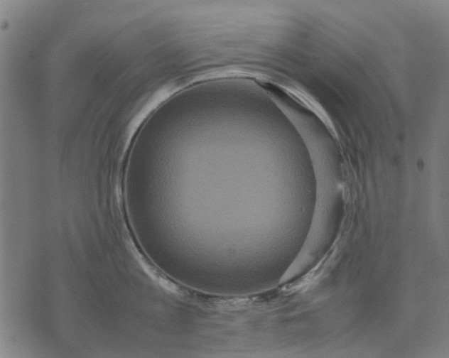 X0000070390813200606231736