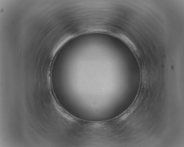 X0000070390814200606231736