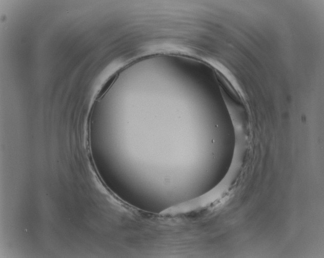 X0000070390815200606231736