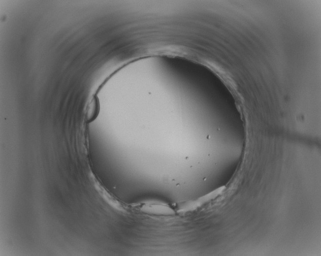 X0000070390816200606231736