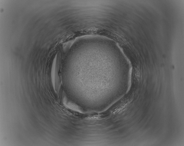 X0000070390818200606231735