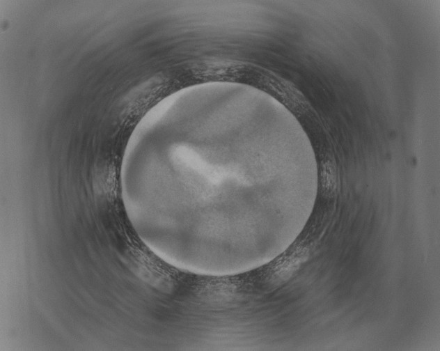 X0000070390820200606231735