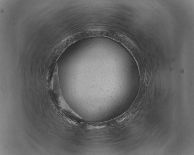 X0000070390821200606231735