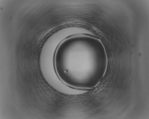 X0000070390822200606231735