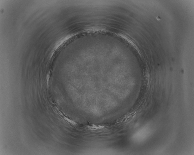 X0000070390823200606231735