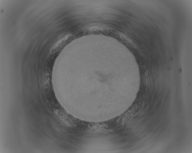 X0000070390824200606231735