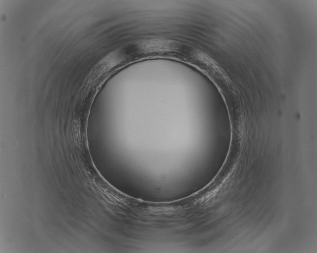 X0000070390825200606231735