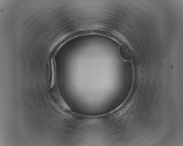 X0000070390826200606231735