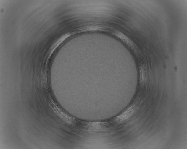 X0000070390828200606231735