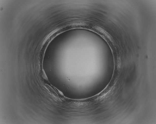 X0000070390829200606231735