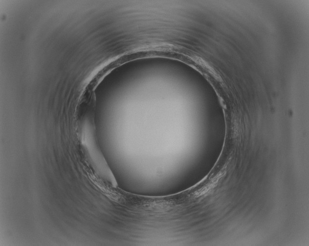 X0000070390830200606231735