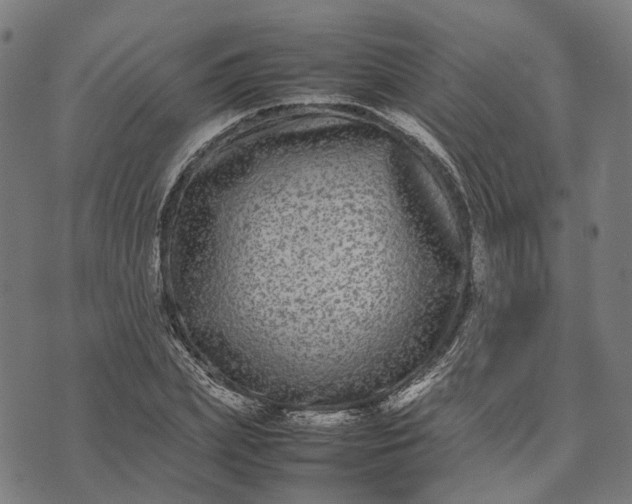 X0000070390831200606231735