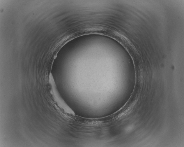 X0000070390833200606231735