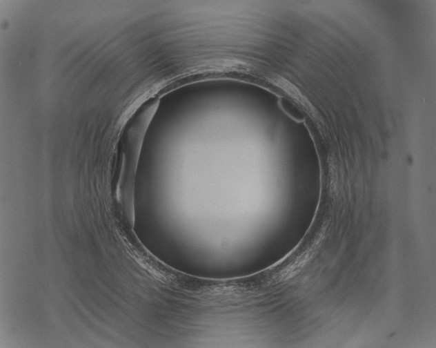 X0000070390834200606231735