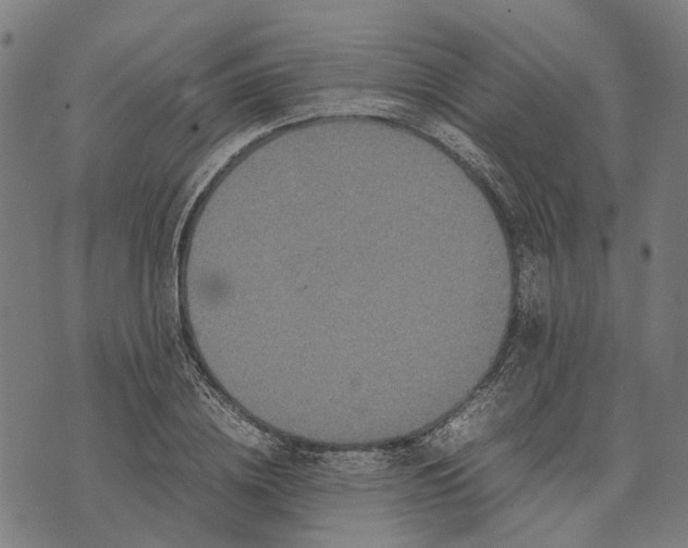 X0000070390836200606231735