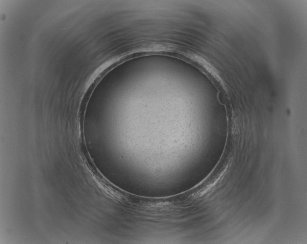 X0000070390837200606231735