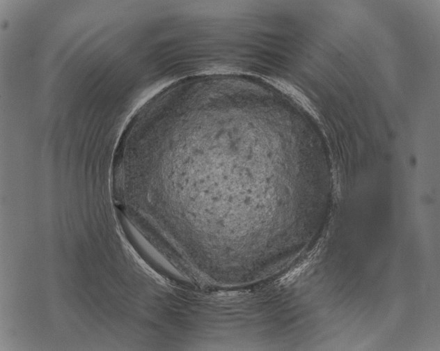 X0000070390839200606231735