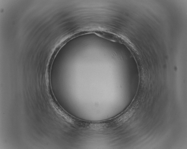 X0000070390840200606231735