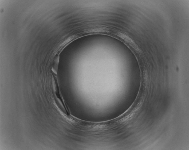 X0000070390841200606231735