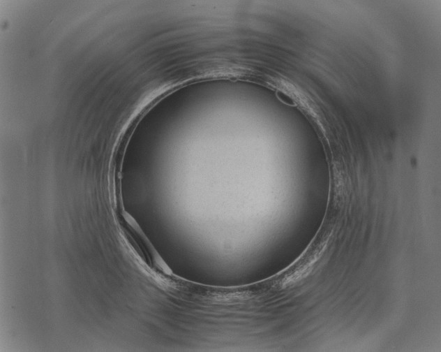 X0000070390843200606231735