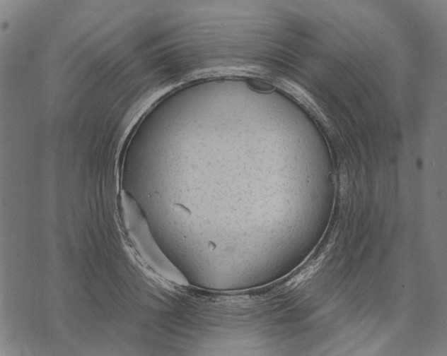 X0000070390844200606231735