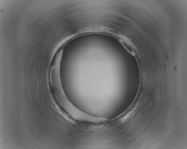 X0000070390846200606231735