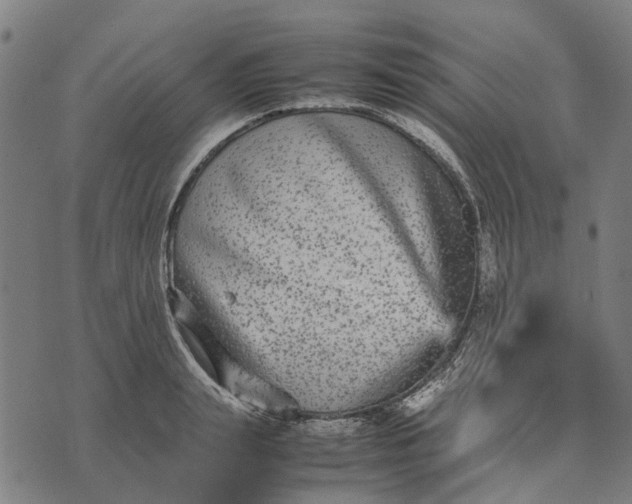 X0000070390847200606231735