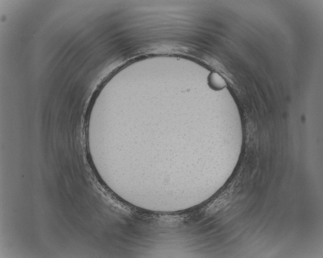 X0000070390848200606231735