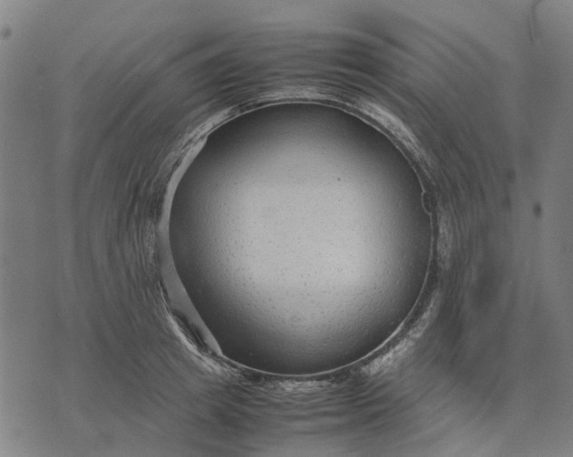 X0000070390849200606231735