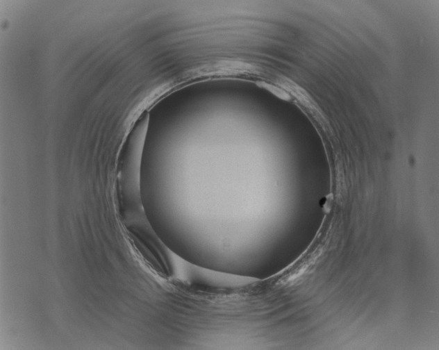 X0000070390850200606231735