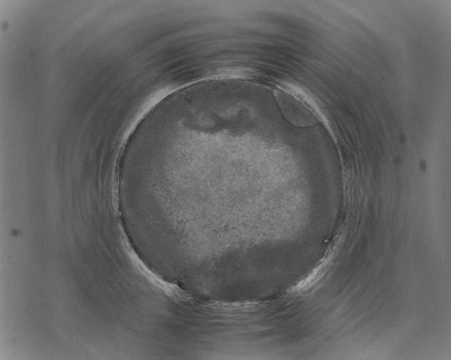 X0000070390851200606231735