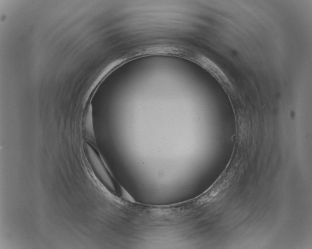 X0000070390852200606231735