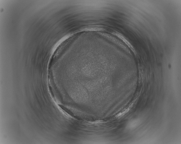 X0000070390853200606231736