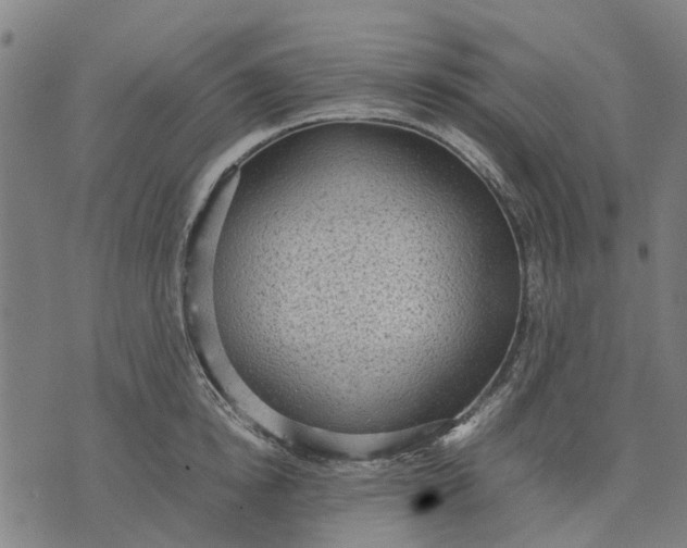 X0000070390854200606231736