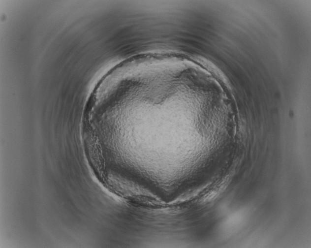 X0000070390855200606231736