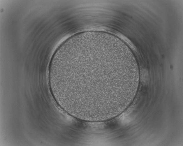 X0000070390856200606231736