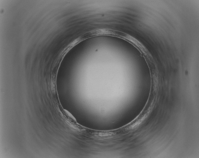 X0000070390857200606231736