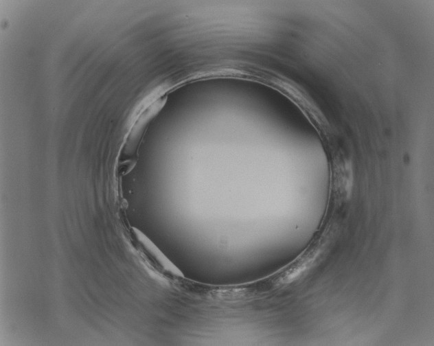 X0000070390858200606231736