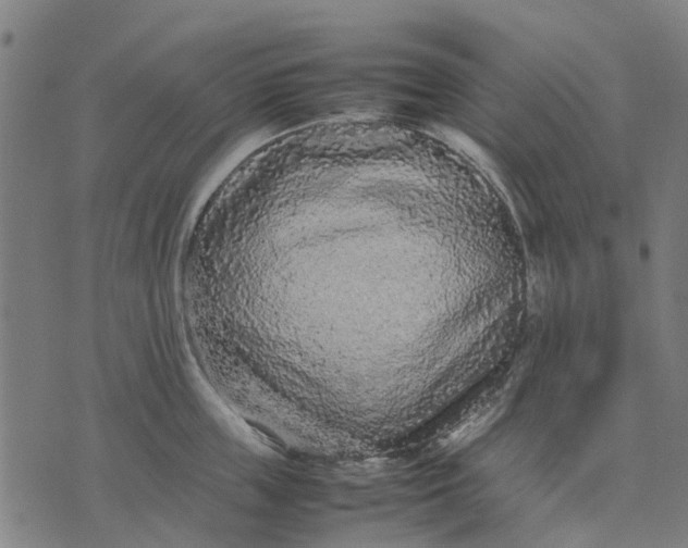 X0000070390859200606231736